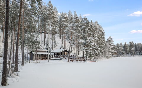 Villa Loisto: Sne, Vinter, Afdeling, Træ, Træ, Landskab, Sommerhus, Fryser, Kvist