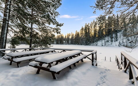 Villa Loisto: Sne, Vinter, Træ, Træ, Afdeling, Udendørs Bench, Landskab, Fryser, Udendørs Møbler, Picnic Bord