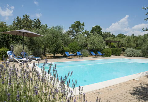 Villa El Olivar: Svømmepøl, Have, Estate, Landscaping, Udendørs Møbler, Hacienda, Udvej, Villa, Backyard, Stuehus