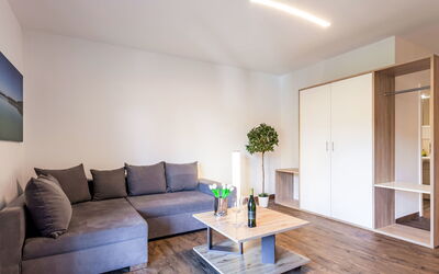 Feriebolig:&nbsp;Alpenlodge Geißstein 110.9