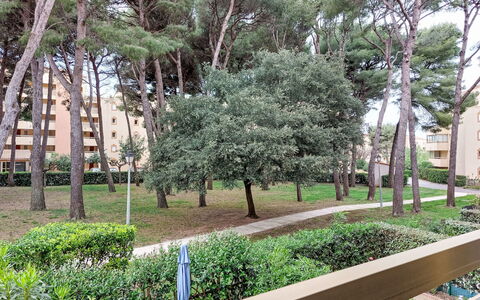 Mimosa: Boligområde, Busk, Hus, Hjem, Have, Estate, Skygge, Landscaping, Lawn