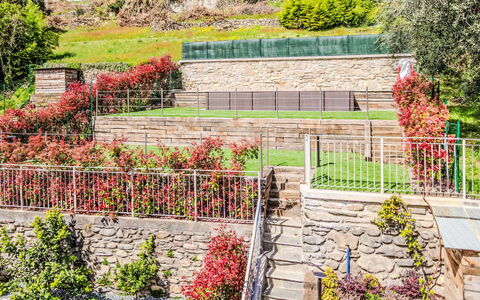 Domaso 703: Busk, Have, Plantesamfund, Bunddække, Forår, Hegn, Landscaping, Botanisk Have, Gård