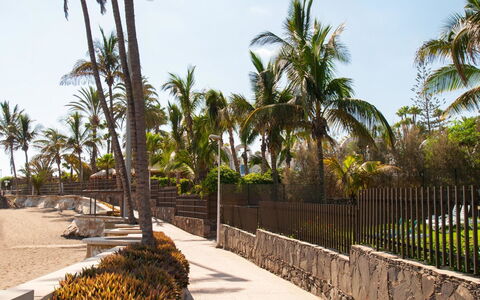 El Veril: Træ, Bagagerum, Vedplante, Tropics, Walkway, Kyst, Strand, Skygge, Ferie
