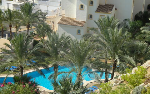 Altea Dorada: Svømmepøl, Vegetationen, Ejendom, Udvej, Palme Træ, Træ, Azure, Arecales, Ferie, Hotel