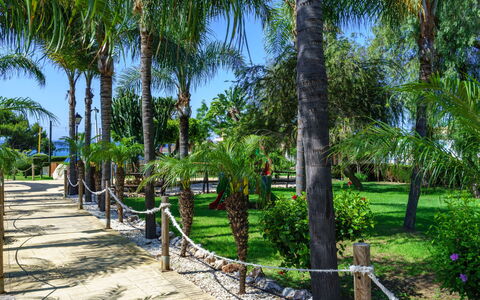 Cala Serena Village: Træ, Vegetationen, Vedplante, Bagagerum, Skygge, Tropics, Walkway