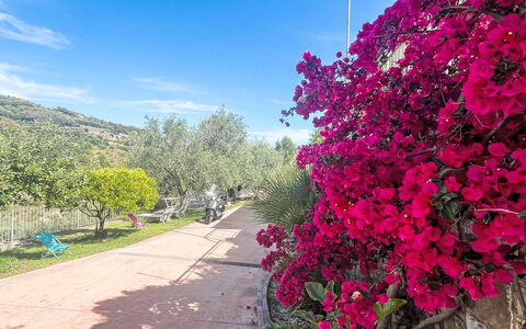 Micuzzo: Blomst, Busk, Lyserød, Forår, Have, Kronblad, Blomstrende Plante, Botanisk Have, Blossom