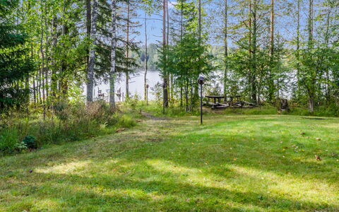 Kuikkaranta: Grøn, Græs, Træ, Naturligt Miljø, Blad, Vegetationen, Naturlige Landskab, Sommer, Land Lot
