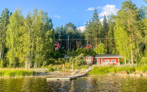 Metsis: Træ, Hus, Sommerhus, Bank, Sø, Skov, Lærk, Bjælkehytte