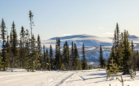 Fjällhemmet: Himmel, Sne, Vinter, Bjergrige Landskabsformer, Bjerg, Terræn, Ødemark, Glacial Landskabsform, Fryser, Bjergkæde