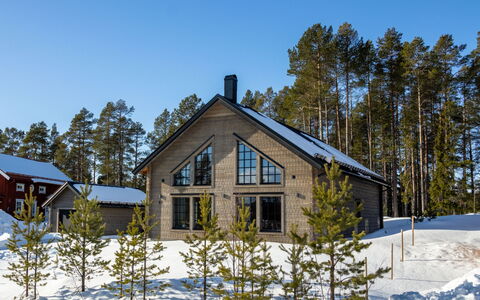 Fjällhemmet: Træ, Sommerhus, Hjem, Hus, Tag, Sidespor, Vinter, Sne, Fryser, Hældning