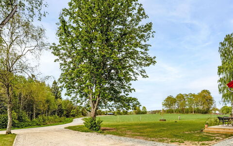 Hönetorpet: Blad, Træ, Natur, Afdeling, Grøn, Græs, Almindeligt, Land Lot, Bagagerum, Vedplante
