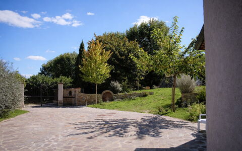 Villa Montepulciano Vineyard: Busk, Have, Flise, Skygge, Indkørsel, Landscaping, Walkway, Backyard, Gård