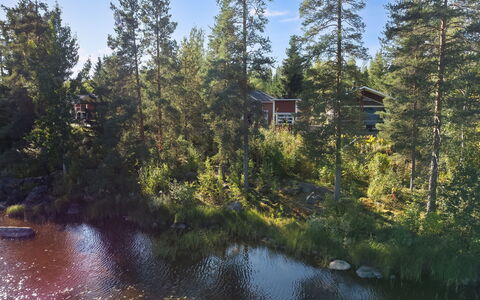 Tiirinniemi 27 a: Træ, Natur, Naturligt Miljø, Naturlige Landskab, Landskab, Skov, Bank, Bredzonens, Lærk