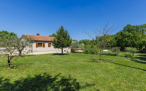 Villa Križanci: Træ, Græs, Hus, Busk, Hjem, Landdistrikt, Almindeligt, Landskab, Boligområde