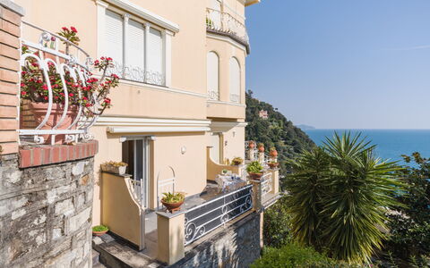 Laccadiva: Hav, Altan, Hjem, Lejlighed, Ocean, Kyst, Eco Hotel, Udvej, Stueplante, Hotel