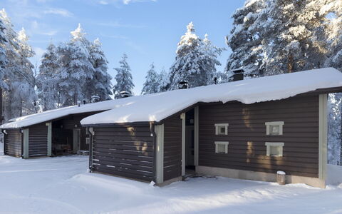 Villa Rokua: Landskab, Land Lot, Plantation, Pine Family, Evergreen