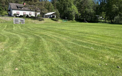 Skolhuset: Græs, Træ, Græs-, Busk, Land Lot, Lawn, Almindeligt, Eng, Bunddække