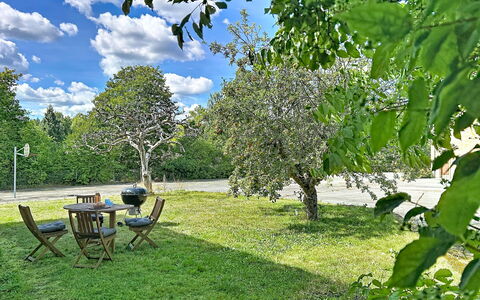 Skolhuset: Træ, Grøn, Græs, Blad, Afdeling, Vegetationen, Busk, Have, Land Lot, Lawn