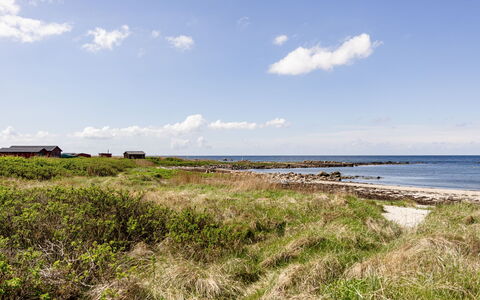 Villshärad: Blå, Økoregion, Græs-, Horisont, Land Lot, Kyst, Almindeligt, Coastal Og Oceaniske Landskabsformer, Hav, Kyst