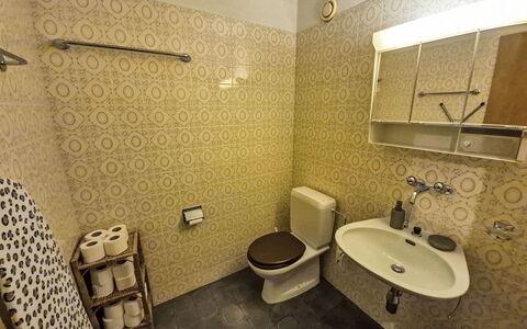 Crans-Léman 5: Badeværelse, Toiletbræt, Badeværelsesvask, Sanitærarmatur, Væg, Gulvbelægning, Toilet, Etage, Håndvask, Tap