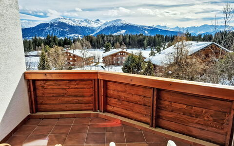 Crans-Léman 5: Træ, Bjergkæde, Bejdse, Dal, Alps, Hårdttræ, Altan, Kam, Planke, Vinter