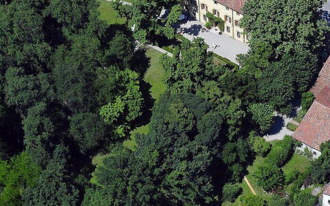 Villa Castellani: Træ, Boligområde, Hus, Busk, Hjem, Land Lot, Estate, Menneskelig Bosættelse, Lawn, Mansion