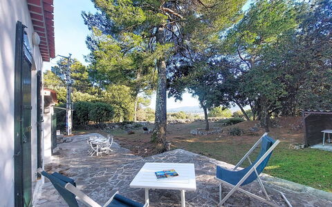 Nature chez Michel: Blad, Vegetationen, Busk, Have, Plantesamfund, Landscaping, Vedplante, Lawn, Skygge, Gård