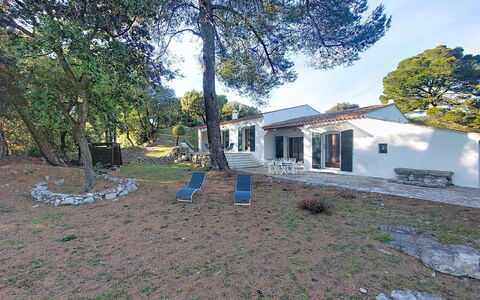 Nature chez Michel: Blad, Vegetationen, Busk, Have, Plantesamfund, Landscaping, Vedplante, Lawn, Skygge, Gård