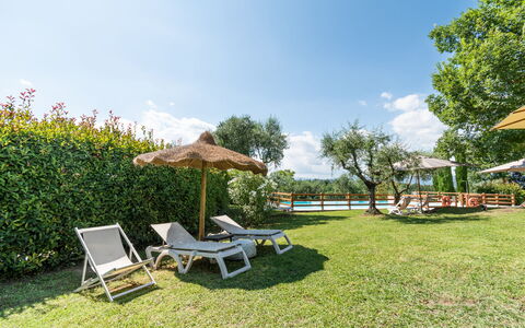 Agriturismo le Due Querce: Svømmepøl, Udendørs Møbler, Udvej, Have, Liggestol, Eco Hotel, Lawn, Skygge, Estate, Fritid