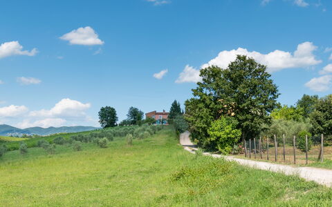 Agriturismo le Due Querce: Himmel, Græs, Grøn, Naturligt Miljø, Natur, Naturlige Landskab, Græs-, Almindeligt, Landskab