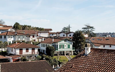Barasteguia