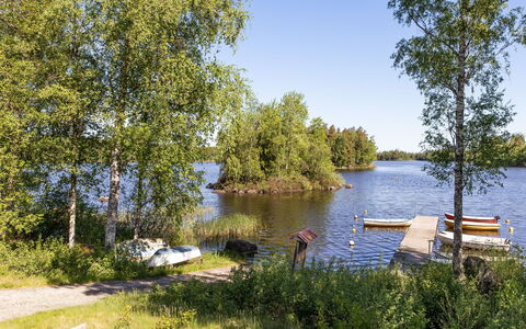 Holmen: Vand, Træ, Naturlige Landskab, Bank, Vandløb, Sø, Kanal, Bredzonens