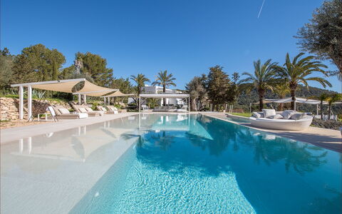 Villa the Marvel: Træ, Svømmepøl, Udvej, Eco Hotel, Tropics, Skygge, Hotel, Udendørs Møbler, Ferieby