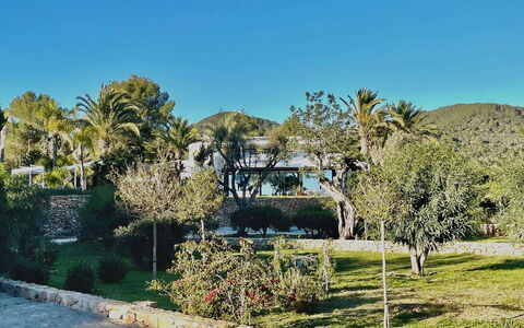 Villa the Marvel: Træ, Blad, Vegetationen, Landskab, Busk, Have, Landscaping, Skygge