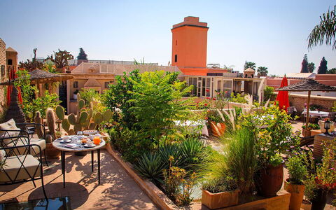 Riad Ikram: Blomsterkrukke, Stueplante, Have, Stol, Landscaping, Udendørs Møbler, Hacienda, Gårdhave, Eco Hotel, Gård