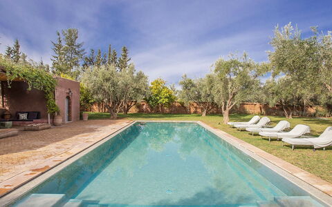 Villa Mauri: Svømmepøl, Estate, Hacienda, Afspejling, Landscaping, Udvej, Water Feature, Gårdsplads, Reflekterende Pool