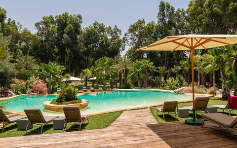 Le Jardin Mogador: Træ, Svømmepøl, Udvej, Have, Eco Hotel, Landscaping, Skygge, Hacienda, Estate