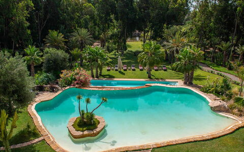 Le Jardin Mogador: Svømmepøl, Vand, Træ, Udvej, Have, Fritid, Water Feature, Eco Hotel, Landscaping, Hacienda