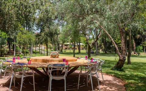 Le Jardin Mogador: Træ, Møbel, Have, Skygge, Lawn, Udendørs Møbler, Parkere, Backyard, Stol, Gård