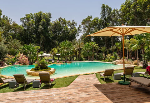 Le Jardin Mogador: Træ, Svømmepøl, Udvej, Have, Eco Hotel, Landscaping, Skygge, Hacienda, Estate