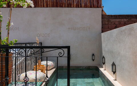 Riad Ali: Kompositmateriale, Svømmepøl, Flise, Blomsterkrukke, Stueplante, Gårdsplads, Water Feature, Flise