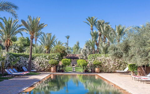 Villa Exotic: Svømmepøl, Udvej, Afspejling, Hacienda, Udendørs Møbler, Have, Eco Hotel, Reflekterende Pool, Estate