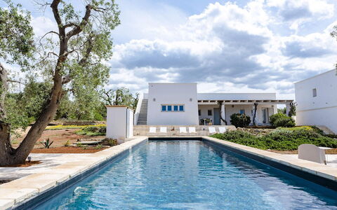 Villa Il Guaceto: Blå, Svømmepøl, Hjem, Estate, Skygge, Water Feature, Udvej, Landscaping, Villa, Design