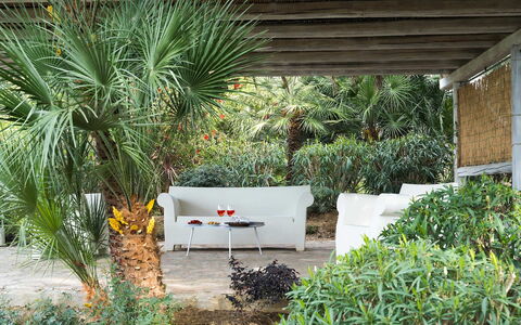 Villa Milo: Vegetationen, Busk, Have, Plantesamfund, Udendørs Møbler, Skygge, Landscaping, Backyard, Eco Hotel