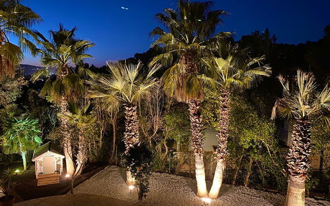 Villa Joel: Nat, Have, Landskab Belysning, Vedplante, Landscaping