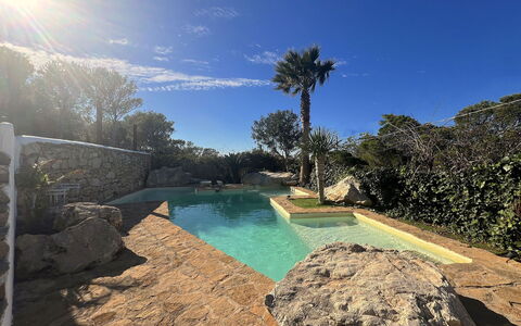 Sa Galera Villa: Blå, Svømmepøl, Rots, Udvej, Water Feature, Eco Hotel, Landscaping, Tropics