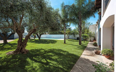 Casa Kita: Have, Skygge, Lawn, Landscaping, Estate, Vedplante, Backyard, Gård, Hacienda, Gårdsplads