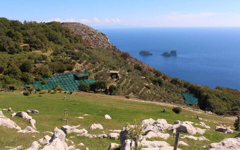The Sea Farmhouse: Rots, Hav, Terræn, Coastal Og Oceaniske Landskabsformer, Kyst, Ocean, Hill Station, Promontory, Headland