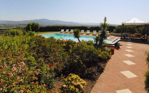 Villa Michelangelo: Have, Svømmepøl, Hacienda, Eco Hotel, Landscaping, Udvej, Gård, Plantation, Stuehus, Villa