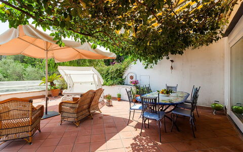 Casa Dorothea 2: Møbel, Blomsterkrukke, Bord, Stol, Udendørs Møbler, Stueplante, Udendørs Bord, Have, Køkken & Spisebord, Gårdhave